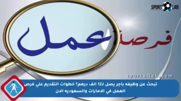 تبحث عن وظيفة بأجر يصل لـ12 ألف درهم؟ خطوات التقديم على فرص العمل في الإمارات والسعودية الآن